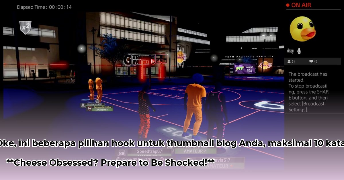 cheeseaholic-net-worth